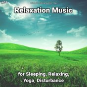 #01 Relaxation Music for Sleeping, Relaxing, Yoga, Disturbance