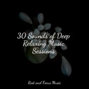 30 Sounds of Deep Relaxing Music Sessions