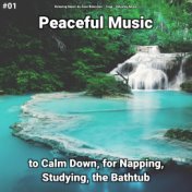 #01 Peaceful Music to Calm Down, for Napping, Studying, the Bathtub