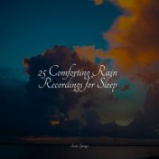 25 Comforting Rain Recordings for Sleep