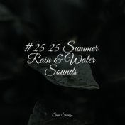 #25 25 Summer Rain & Water Sounds