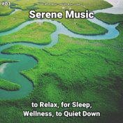 #01 Serene Music to Relax, for Sleep, Wellness, to Quiet Down