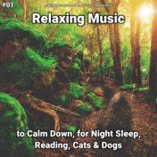 #01 Relaxing Music to Calm Down, for Night Sleep, Reading, Cats & Dogs