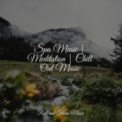 Spa Music | Meditation | Chill Out Music