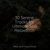 30 Serene Tracks for Ultimate Spa Relaxation