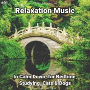 #01 Relaxation Music to Calm Down, for Bedtime, Studying, Cats & Dogs