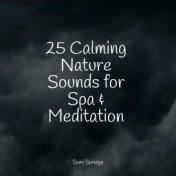 25 Calming Nature Sounds for Spa & Meditation