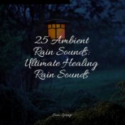 25 Ambient Rain Sounds: Ultimate Healing Rain Sounds