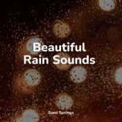 Beautiful Rain Sounds