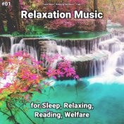 #01 Relaxation Music for Sleep, Relaxing, Reading, Welfare