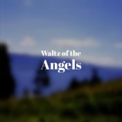 Waltz of the Angels