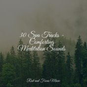 30 Spa Tracks - Comforting Meditation Sounds
