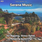 #01 Serene Music for Napping, Stress Relief, Relaxing, Listening