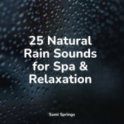 25 Natural Rain Sounds for Spa & Relaxation