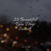 25 Beautiful Rain Drop Sounds