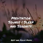 Meditation Sounds | Sleep and Serenity