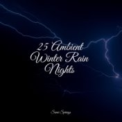 25 Ambient Winter Rain Nights