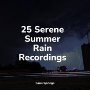 25 Serene Summer Rain Recordings