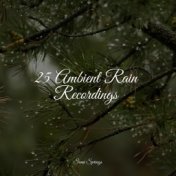 25 Ambient Rain Sounds for Meditation