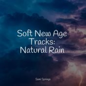 Soft New Age Tracks: Natural Rain