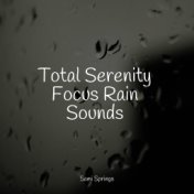 Total Serenity Focus Rain Sounds