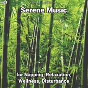 #01 Serene Music for Napping, Relaxation, Wellness, Disturbance