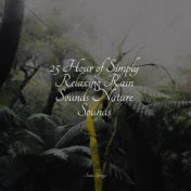 25 Hour of Simply Relaxing Rain Sounds Nature Sounds