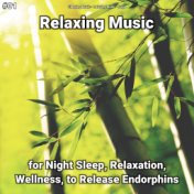 #01 Relaxing Music for Night Sleep, Relaxation, Wellness, to Release Endorphins