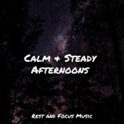 Calm & Steady Afternoons