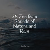 25 Zen Rain Sounds of Nature and Rain