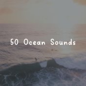 50 Ocean Sounds