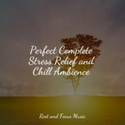 Perfect Complete Stress Relief and Chill Ambience