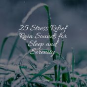 25 Stress Relief Rain Sounds for Sleep and Serenity