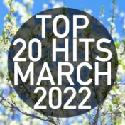 Top 20 Hits March 2022 (Instrumental)