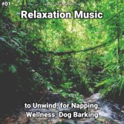 #01 Relaxation Music to Unwind, for Napping, Wellness, Dog Barking