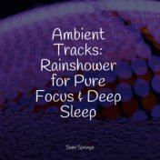 Ambient Tracks: Rainshower for Pure Focus & Deep Sleep