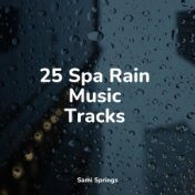 25 Spa Rain Music Tracks