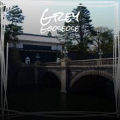 Grey Gooseose