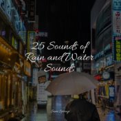 25 Sounds of Rain and Water Sounds