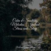 Calm & Soothing Melodies | Instant Stress and Sleep