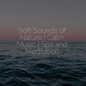 Soft Sounds of Nature | Calm Music | Spa and Meditation