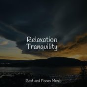 Relaxation Tranquility
