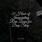 25 Hour of Invigorating Rain Loops for Deep Sleep