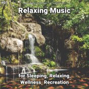 #01 Relaxing Music for Sleeping, Relaxing, Wellness, Recreation