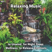 #01 Relaxing Music to Unwind, for Night Sleep, Wellness, to Release Emotions