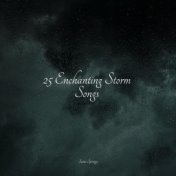25 Enchanting Storm Songs