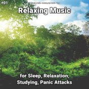 #01 Relaxing Music for Sleep, Relaxation, Studying, Panic Attacks