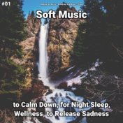 #01 Soft Music to Calm Down, for Night Sleep, Wellness, to Release Sadness