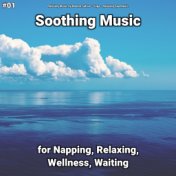 #01 Soothing Music for Napping, Relaxing, Wellness, Waiting