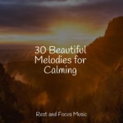 30 Beautiful Melodies for Calming